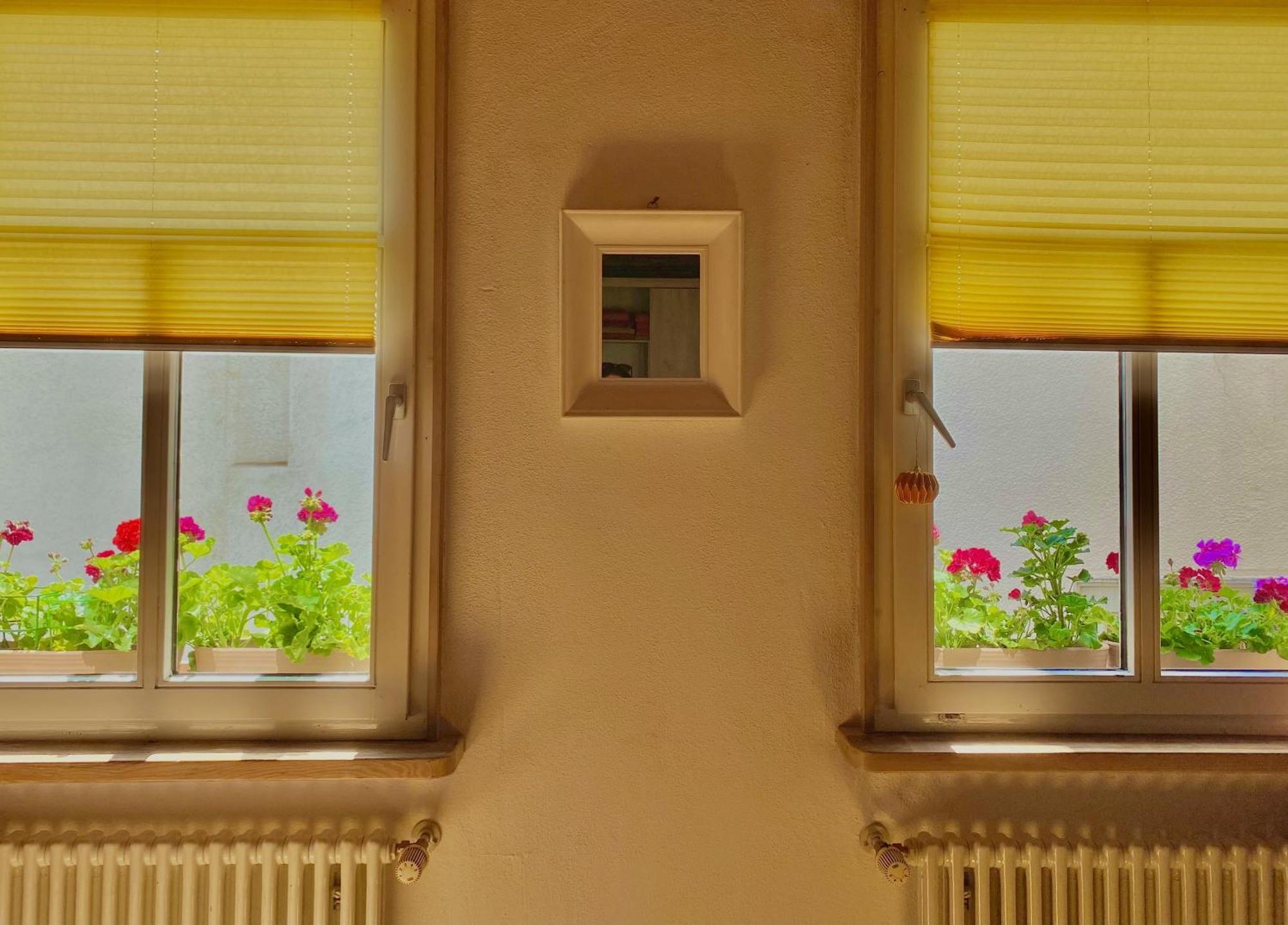 콘스탄츠 Inselgasse 아파트 외부 사진